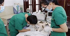 Bệnh Viện Thú Y Petcare 2 Petcare Veterinary Hospital