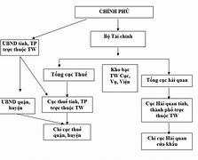 Các Chính Sách Thuế Ở Việt Nam Hiện Nay