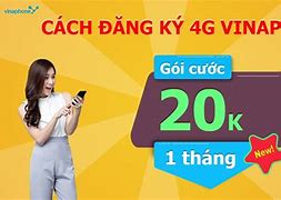 Đăng Ký Mạng Vinaphone 20K 1 Tháng