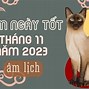 Ngày Tốt Cưới Hỏi Tháng 11 Năm 2023