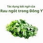 Thực Phẩm Tốt Cho Thận Nữ Giới