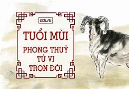 Tử Vi Trọn Đời Kỷ Mùi Nữ Mạng